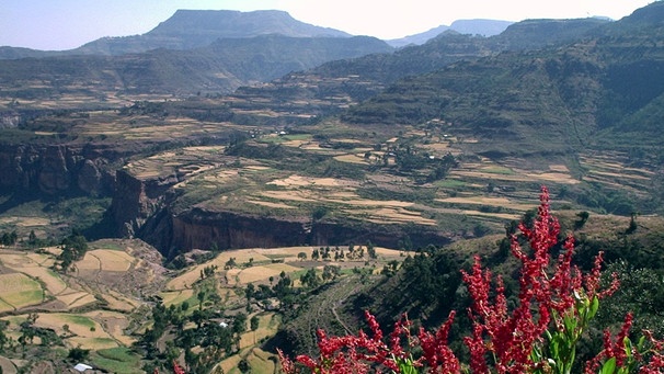 Grenzgebiet Äthiopien/Eritrea | Bild: picture-alliance/dpa