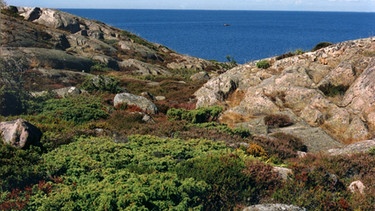 Källskär ist eine der rund 100.00 Inseln und Schären der in der Ostsee liegenden finnischen Aland-Inseln.  | Bild: picture-alliance/dpa