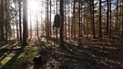 Wald bei Sinzing | Bild: Fabian Zweck