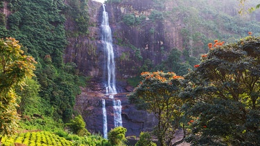 Beautiful waterfall on Sri Lanka | Bild: picture alliance / Zoonar | Galyna Andrushko