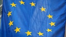 Europafahne | Bild: picture-alliance/dpa