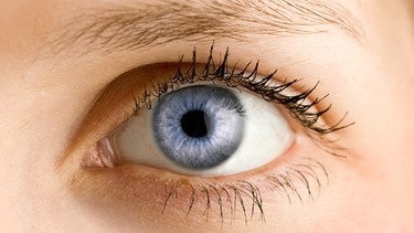 Ein blaues Auge. | Bild: stock.adobe.com/m.arc