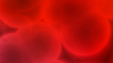 Blutzellen in vergrößerter Darstellung | Bild: colourbox.com