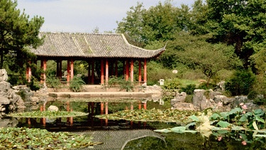 Garten in Hangzhou | Bild: picture-alliance/dpa