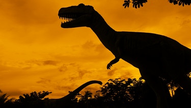 Dinosaurier | Bild: colourbox.com