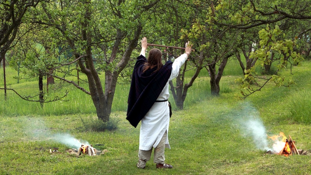 Druide auf einer Wiese mit erhobenen Händen | Bild: colourbox.com