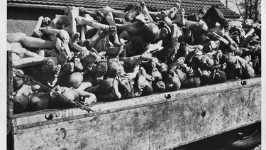 Nahaufnahme eines mit Leichen beladenen Lkw-Anhängers im Innenhof des Krematoriums. | Bild: Sammlung Gedenkstätte Buchenwald