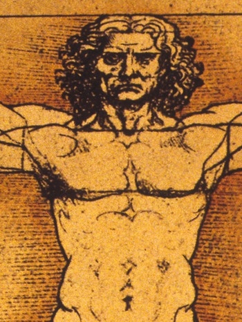 Der Mensch und die proportionalen Verhältnisse seines Körperbaus auf einer Zeichnung von Leonardo da Vinci | Bild: picture-alliance/dpa