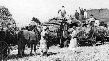 Landwirtschaft historisch | Bild: picture-alliance/dpa