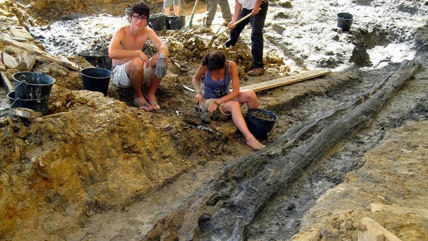 Ausgrabungen in Frankreich von Knochen von 2 Dinosauriern, ca. 130 Millionen Jahre alt. | Bild: picture-alliance/dpa