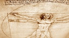 Vetruvianischer Mensch von Leonardo da Vinci | Bild: colourbox.com
