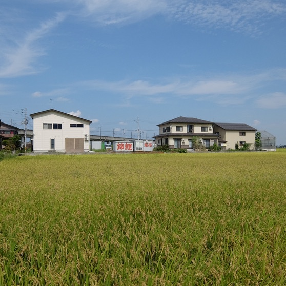 die Matsuda-Koi-Farm in der japanischen Provinz Niigata  | Bild: BR/Isabella Arcucci