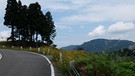 Weg nach Yamakoshi - die Wiege der Koi-Zucht | Bild: BR/Isabella Arcucci