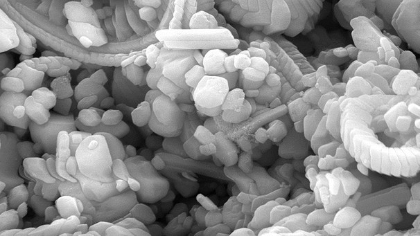 Calciumcarbonat unter einem Mikroskop | Bild: TU Darmstadt