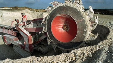 Kreideabbau auf der Insel Rügen. Ein Schaufelradbagger fördert die Kreide auf ein Förderband | Bild: picture-alliance/dpa