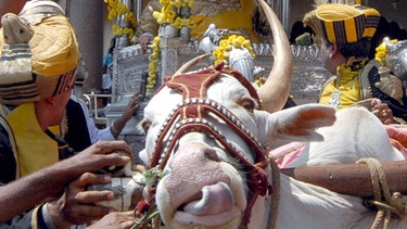 Dasara Festival in Mysore | Bild: picture-alliance/dpa