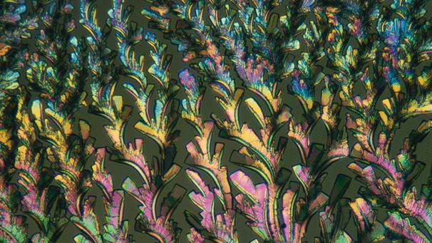 Mikroskopische Aufnahme von Penizillin in polarisiertem Licht, Maßstab 400:1 | Bild: picture-alliance/dpa