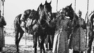 Deutsche Truppen an der Ostfront in Russland im Ersten Weltkrieg | Bild: picture-alliance/dpa