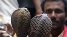Schlangenbeschwörer in Bhopal-Indien | Bild: picture-alliance/dpa