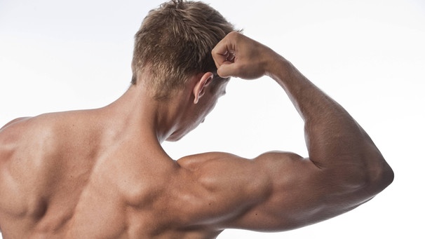 Ein junger Mann mit einem nackten, muskulösen Oberkörper von hinten betrachtet | Bild: picture-alliance/dpa