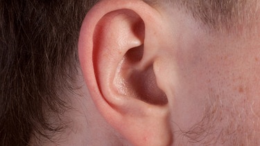 Das Ohr | Bild: colourbox.com
