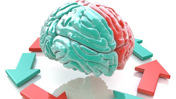 Grafik zur Vernetzung zum Gehirn | Bild: colourbox.com