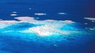 Luftaufnahme des Großen Barriereriffs  | Bild: picture-alliance/dpa