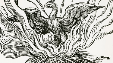 The Phoenix a fabulous bird which at the end of life makes a nest which it sets on fire and burns
itself to ashes, then comes to life again. Woodcut from a 1669 edition of ''Historiae animalium' 'by Conrad
Gesner.' | Bild: picture alliance/United Archives/WHA