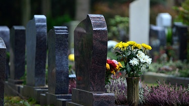 Leben auf dem Friedhof | Bild: picture-alliance/dpa