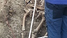 Archäologen-Team legt bei Ausgrabungsarbeiten ein Knochenskelett in Landsberg am Lech frei. | Bild: BR/Regina Fanderl