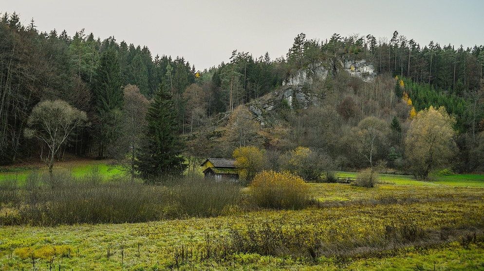 Die idyllische Landschaft des Aufseßtals bei Seelig (Bayern) | Bild: picture-alliance/dpa