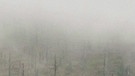 Nebel | Bild: Winterbilder: BR/Erwin Aschenbrenner; Sommerbilder: BR/Arthur Schnabl 