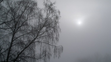 Die Sonne bricht durch den Nebel | Bild: Winterbilder: BR/Erwin Aschenbrenner; Sommerbilder: BR/Arthur Schnabl 
