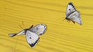 Schmetterlinge auf einem bemalten Sarg von Alfred Opiolka | Bild: BR / Viktoria Wagensommer