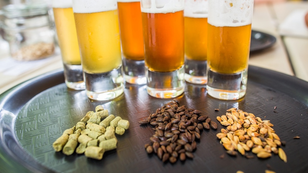 Hopfen und zwei verschiedene Malzsorten vor mehreren Gläsern Bier | Bild: picture-alliance/dpa