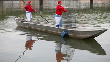 Mitglieder der Fischerzunft Würzburg demonstrieren in historischer Fischerzunfts-Kleidung am 10.05.2010 auf einem Boot auf dem Main in Würzburg Arbeitsschritte des ehemaligen Fischer-Berufes.  | Bild: picture-alliance/dpa