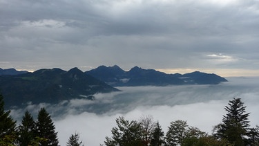 Nebel in Bayern, Nebel im Inntal | Bild: Georg Bayerle/BR