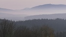 Oberpfälzer Wald im November | Bild: BR