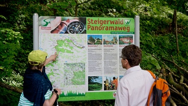 Eine Infotafel auf dem Steigerwald Panoramaweg | Bild: picture-alliance/dpa