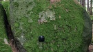 Glastafel an einem Findlingsgrab im Naturfriedhof Schlosswald | Bild: BR/Joseph Berlinger