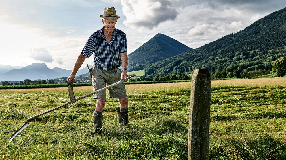 Bergbauern: Das Gras am Rand muss Vitus Maurer mit der Sense nacharbeiten | Bild: Klaus Einwanger