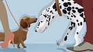 Illustration "Gegensätze"; Frau und Mann gehen mit ihren Hunden spazieren | Bild: colourbox.com; Montage: BR/Renate Windmeißer