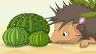 Illustration "Igel beschnuppert einen Kaktus" | Bild: colourbox.com; Montage: BR/Renate Windmeißer