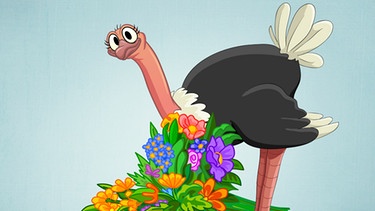 Illustration "Vogel Strauß mit Blumenstrauß" | Bild: colourbox.com; Montage: BR/Renate Windmeißer
