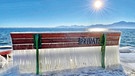SEElenbilder: Bank am See, tiefgefroren | Bild: Herbert Reiter