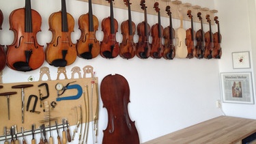 Geigenbaumeisterin Eva Lämmle und die Geige aus Domholz | Bild: BR/Petra Martin