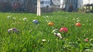 Oarscheibn: Frühlingswiese mit bunten Ostereiern, auf denen ein Geldstück liegt | Bild: BR/Ursula Klement