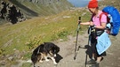 Ulrike Zöller mit Hund bei der Alpenüberquerung | Bild: Ulrike Zöller
