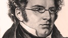 Porträt Franz Schubert | Bild: picture-alliance/dpa