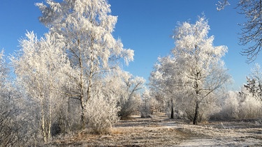 Ab nach draußen im Dezember: Winterruhe | Bild: Andreas Modery